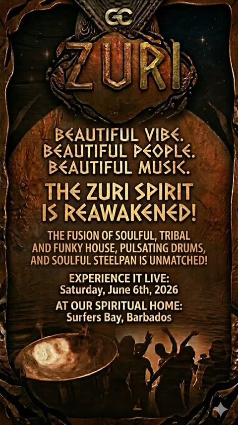 Event poster for The Vibes